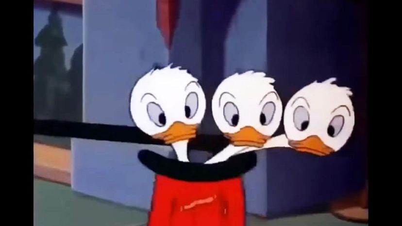 Donald Duck Nephews Huey Dewey Louie
