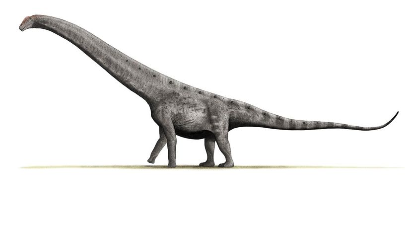 Argentinosaurus