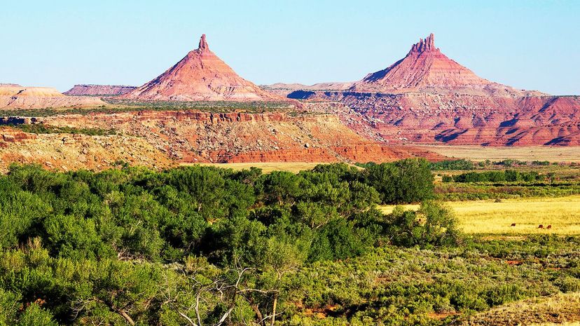 Bears Ears