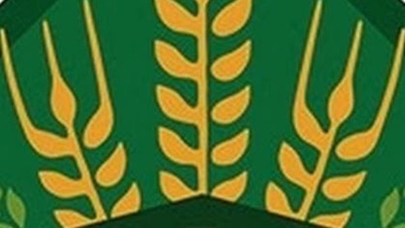 Keller Pils