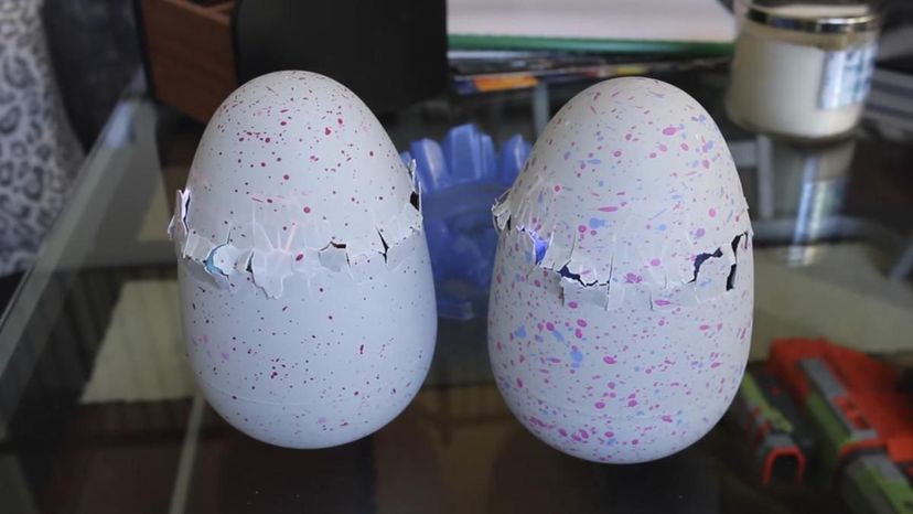 Hatchimals