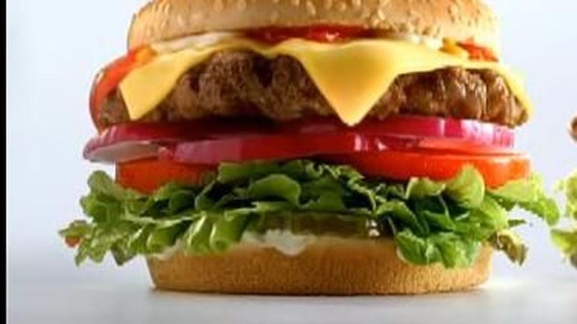 Hardees Orginal Thick Burger