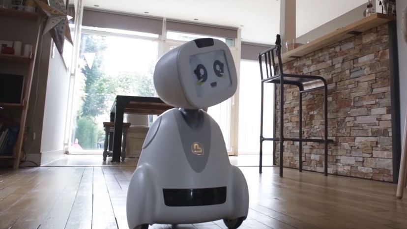 domestic robot