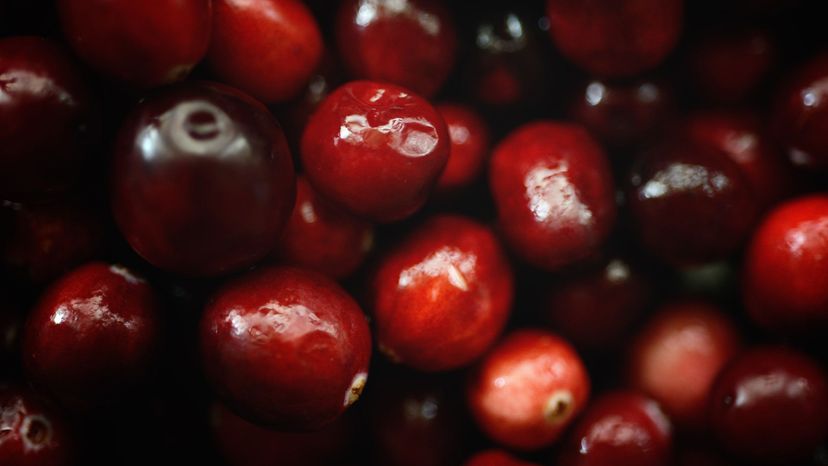 Cranberry