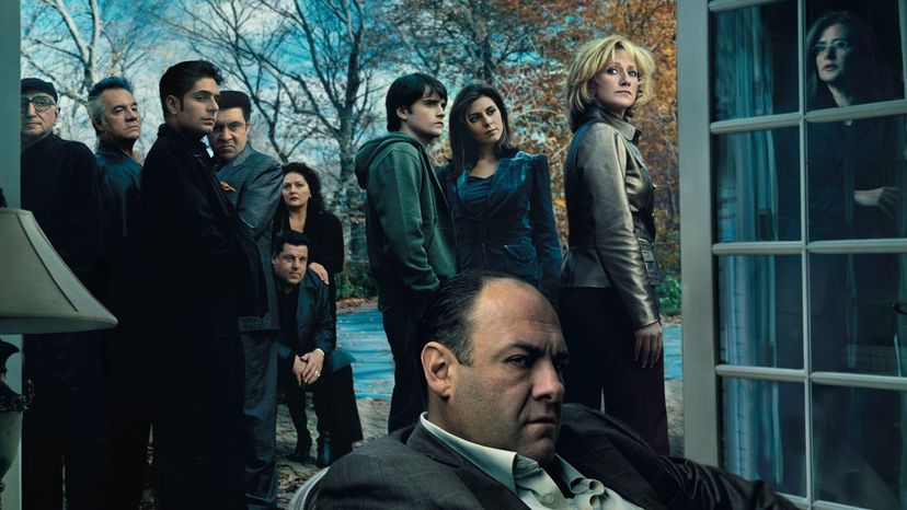 Which character from the Sopranos are you? 3