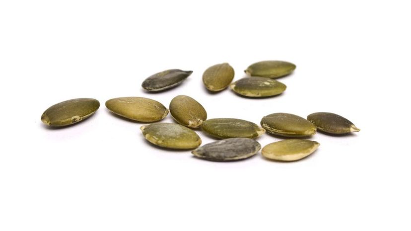 Pumpkin Seed