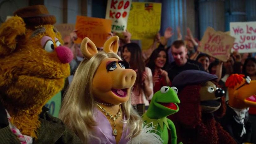 Everyone Has a Muppet That Matches Their Personality - Here's Yours