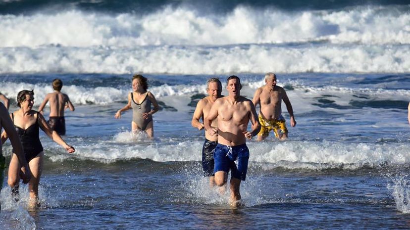 Question 3 - Polar Plunge