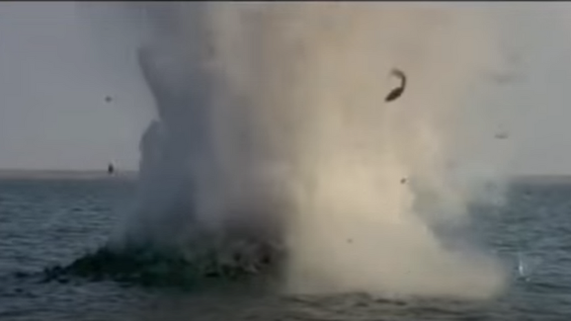 Jaws