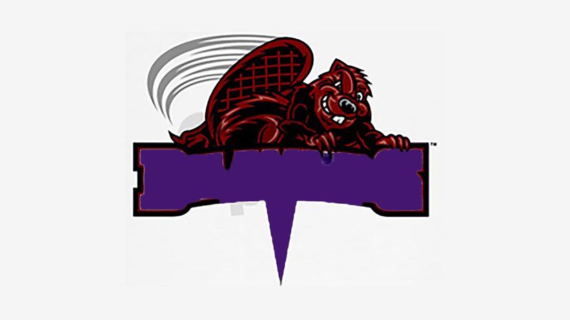 CCNY_Beavers