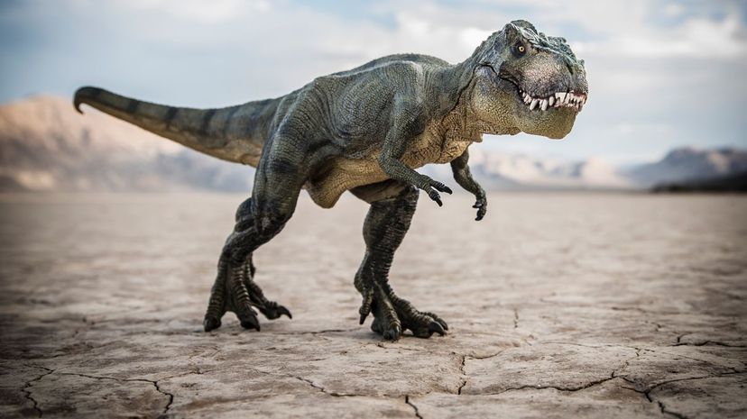 Can You Identify The Dinosaur From An Image Howstuffworks