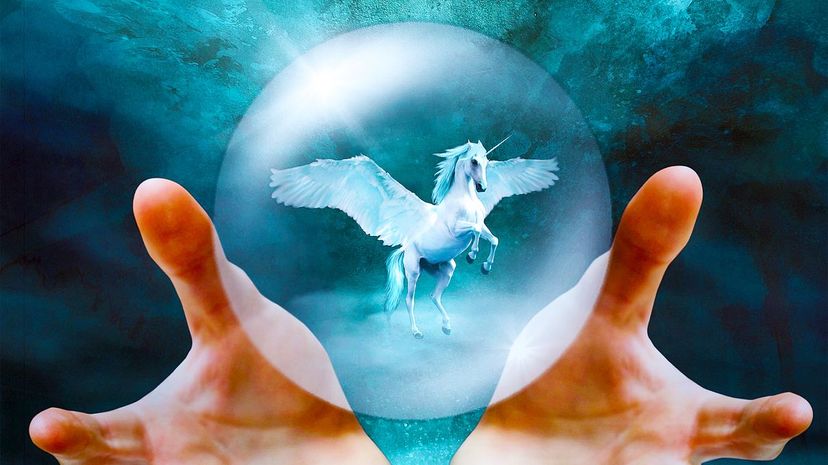 Are You a Unicorn, Pegasus or Hippogriff?