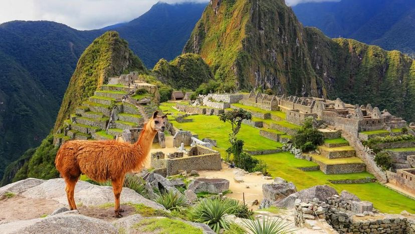 Machu Picchu