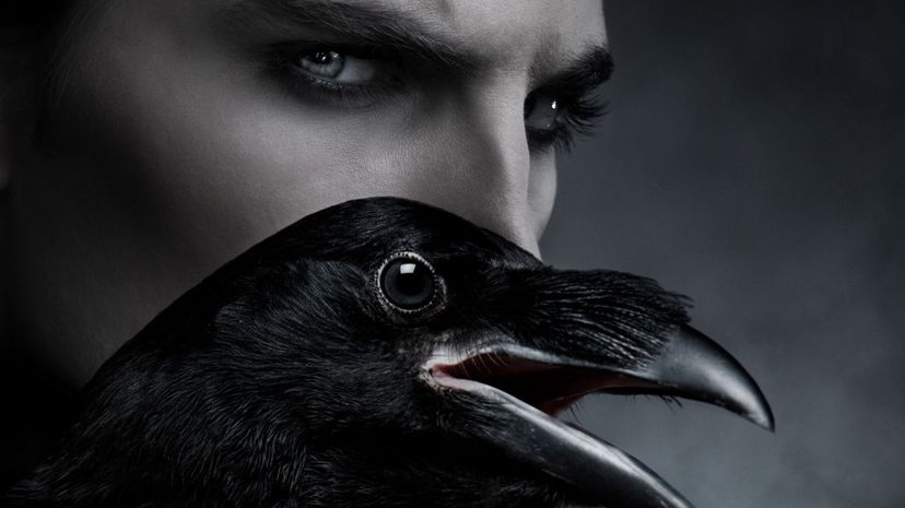 Man with raven