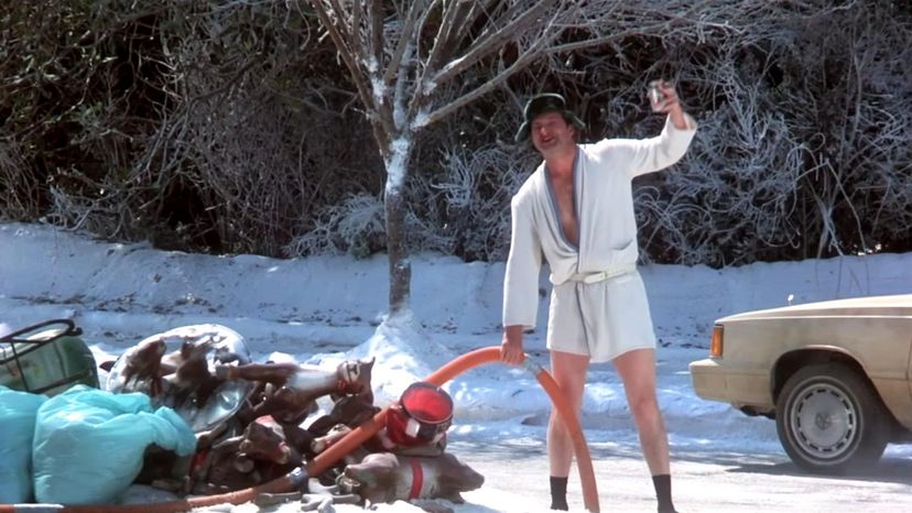 Can You Identify Each of These Scenes from National Lampoon’s Christmas Vacation? Most People Can’t!