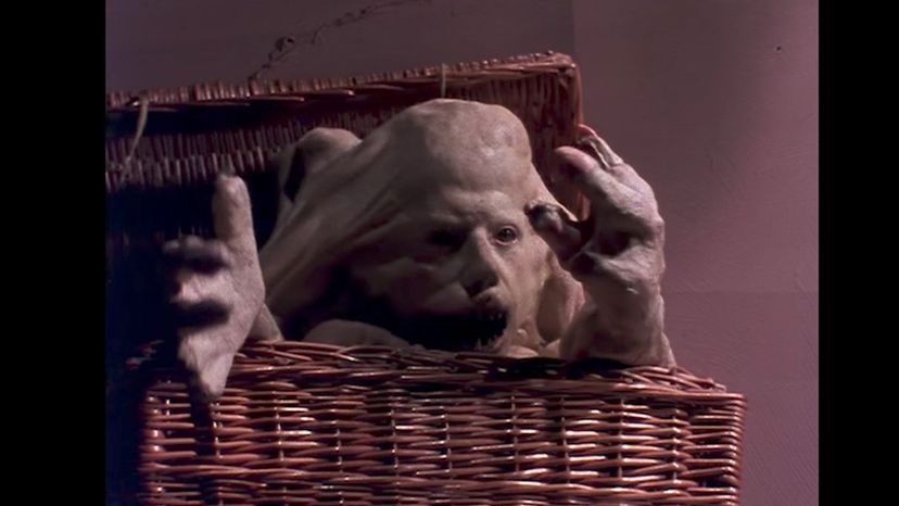 Basket Case