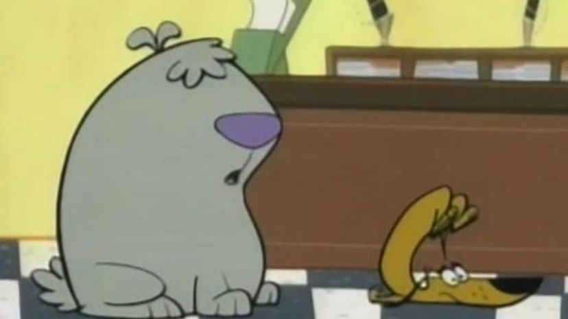 2 Stupid Dogs