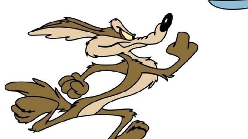 Wile E Coyote