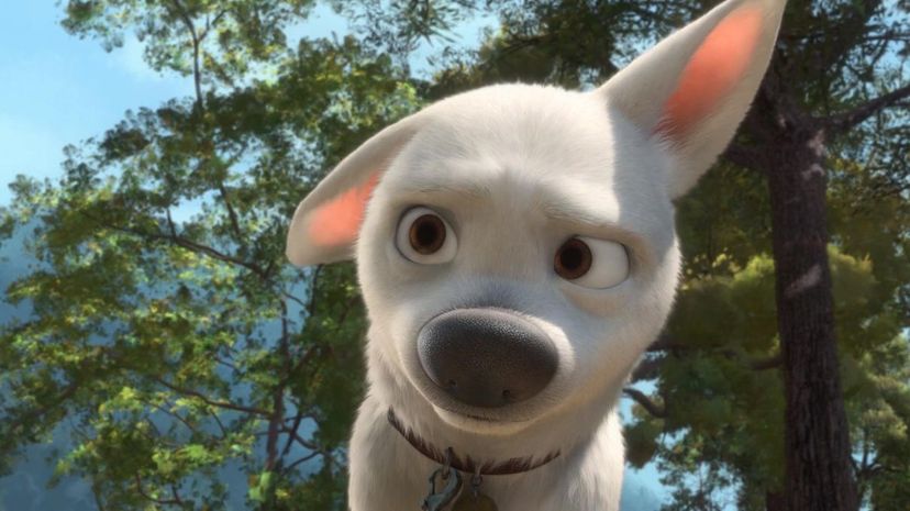 Choose Your Favorite Disney Characters and We'll Tell You Which Dog To Adopt!