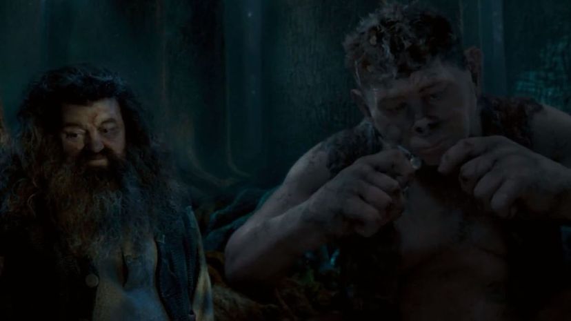 Hagrid and Grawp