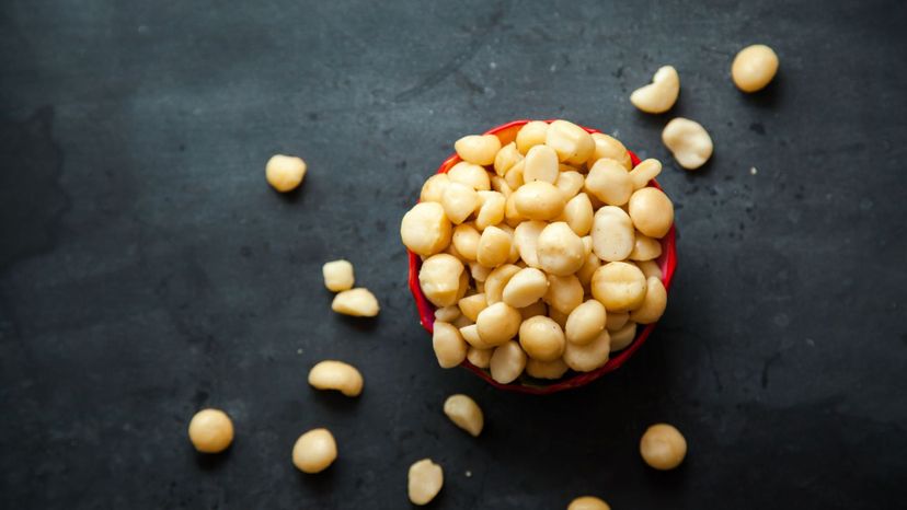 Macadamia nuts