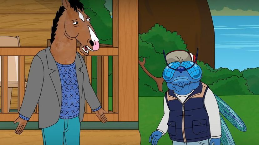 30-Bojack