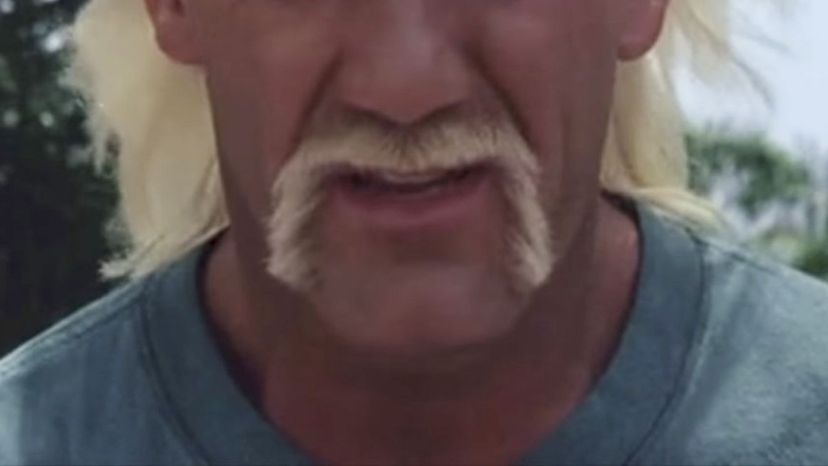 Hulk Hogan - Mr. Nanny