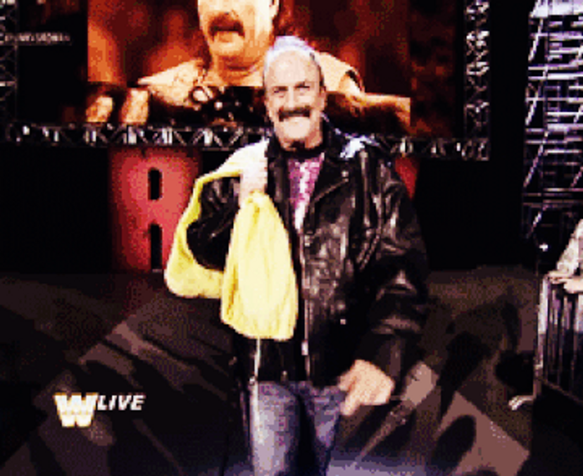 Jake Roberts (2)