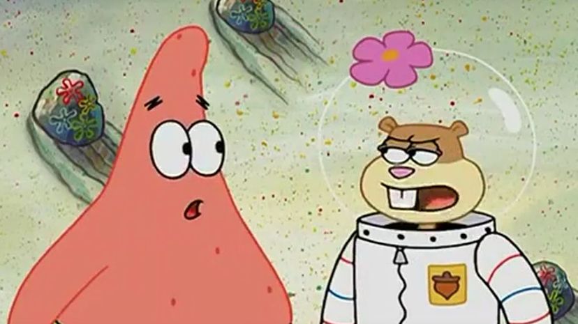 Patrick, don't you have to be stupid somewhere else