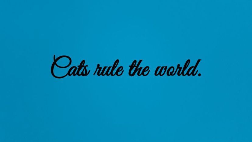 Cats rule the world.