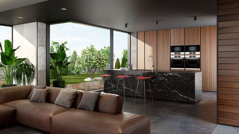 Modern minimalist kitchen with open garden