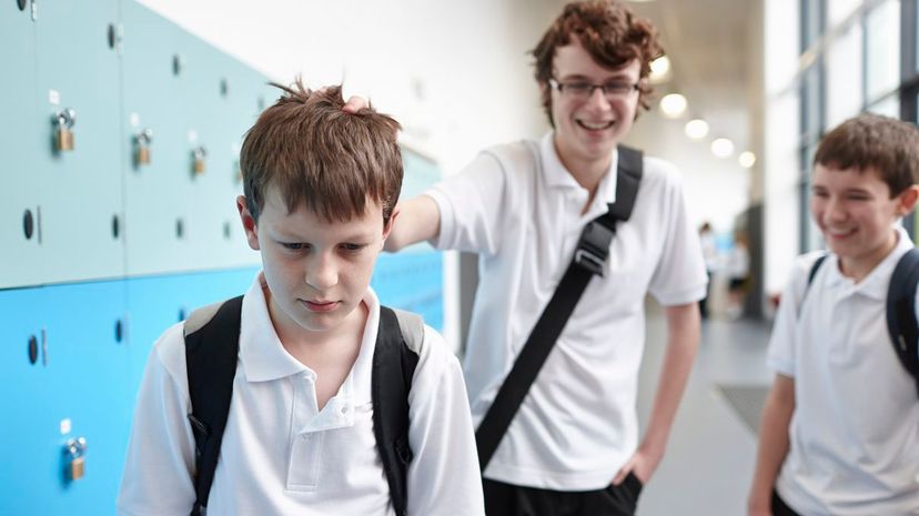 Question 22 - bullied