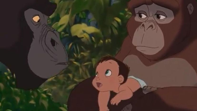 Kala, Tarzan, Kerchak