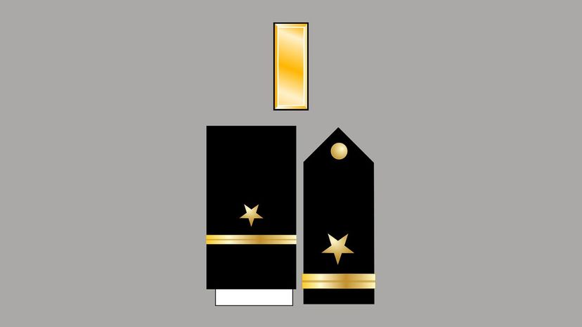 Any idea as to the position of these insignia?