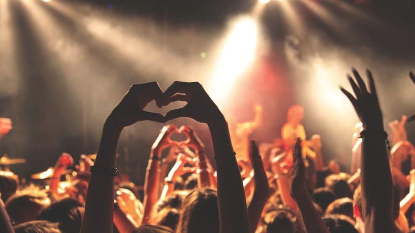 Hands in the air