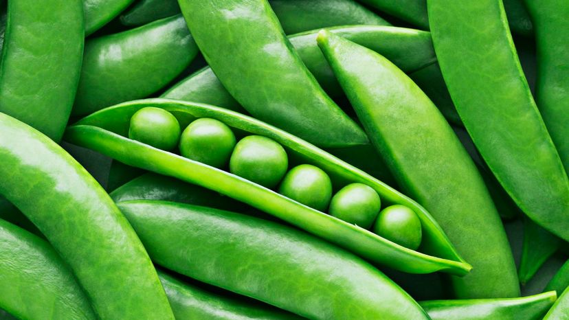 10 Pea Pods GettyImages-104822169