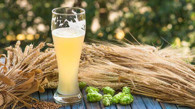 Wheat Beer Glass