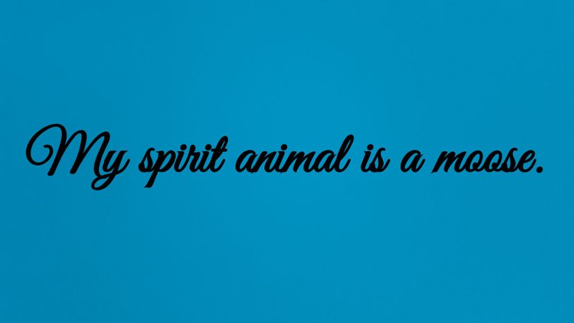My spirit animal is a moose.