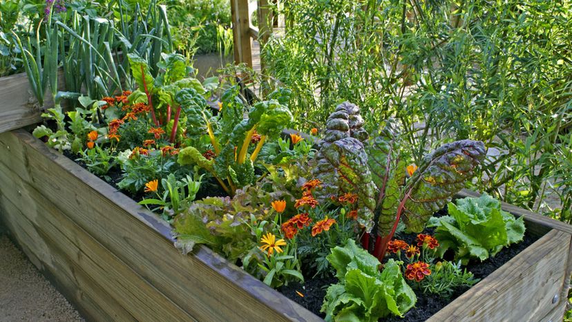 Garden Containers