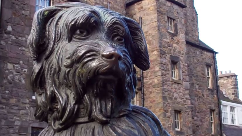 Greyfriars-Bobby-Memorial-Statue