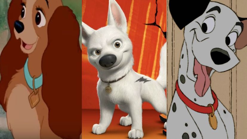 Which Disney Dog are You?