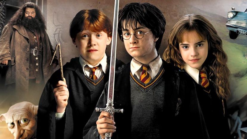 Which Harry Potter book should you star in?