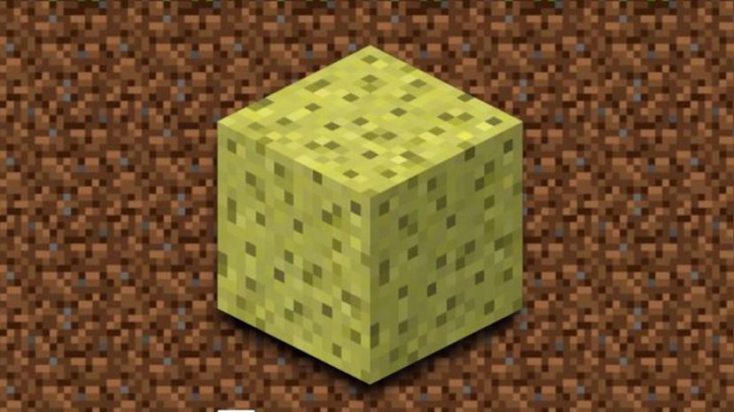 Sponge Minecraft