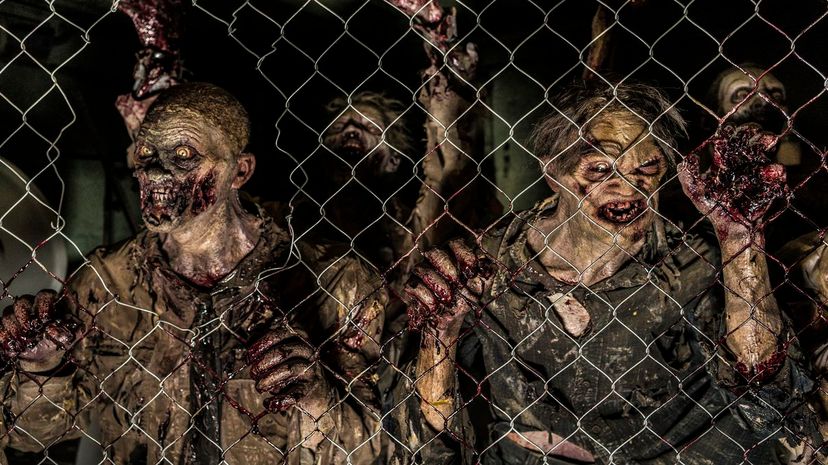 16 - zombie outbreak