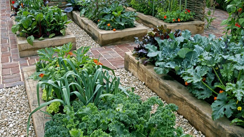 How Much Do You Know About Gardening?