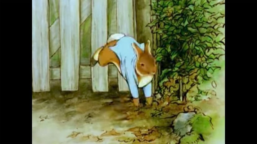 Peter (The Tale of Peter Rabbit)