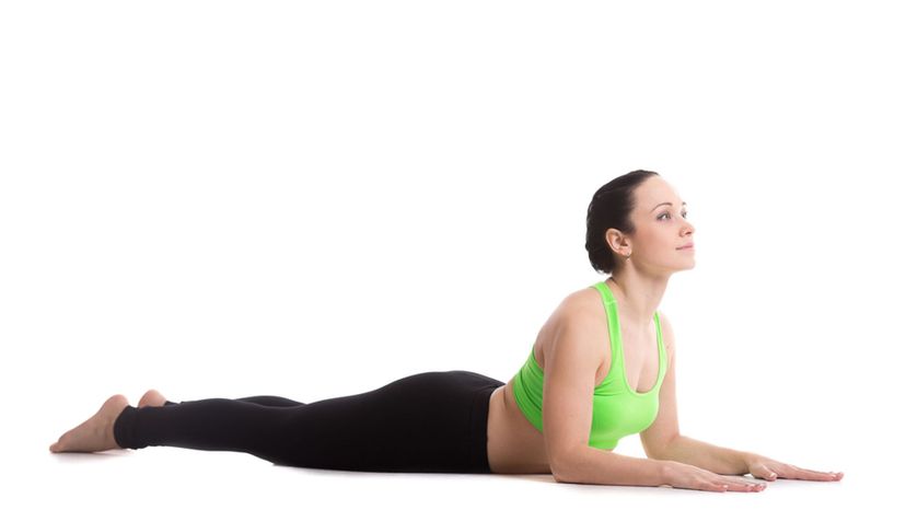 Sphinx Pose Yoga