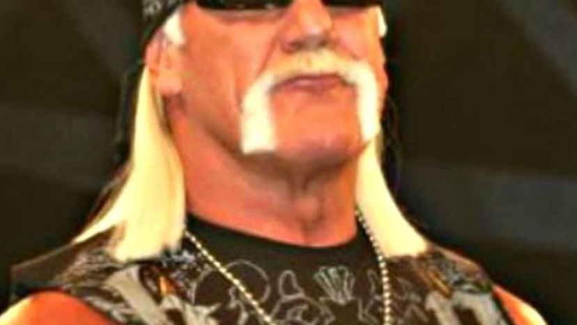 Hulk Hogan Close Up