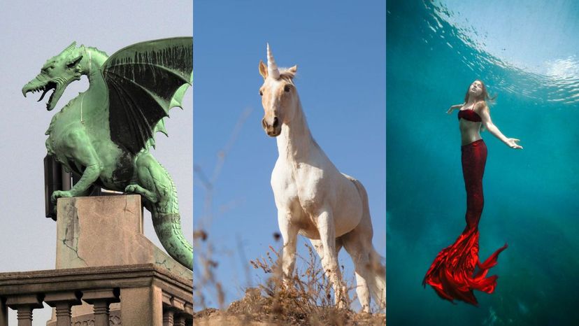 Is Your Totem Animal a Dragon, a Unicorn or a Mermaid?