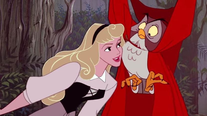 Can You Pass This True or False Disney Princess Quiz?